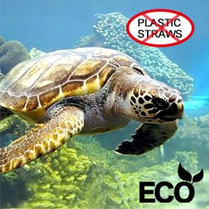 Silicone Drinking Straws 1 (7)sao